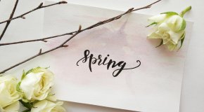 spring graphic with flower