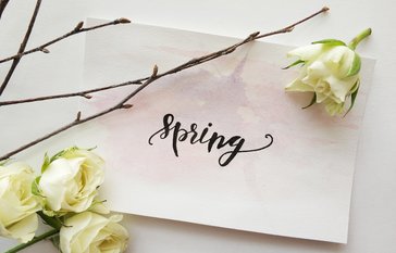 spring graphic with flower